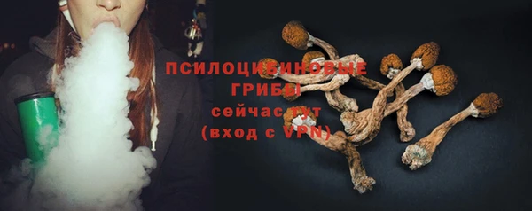 шишки Алексеевка